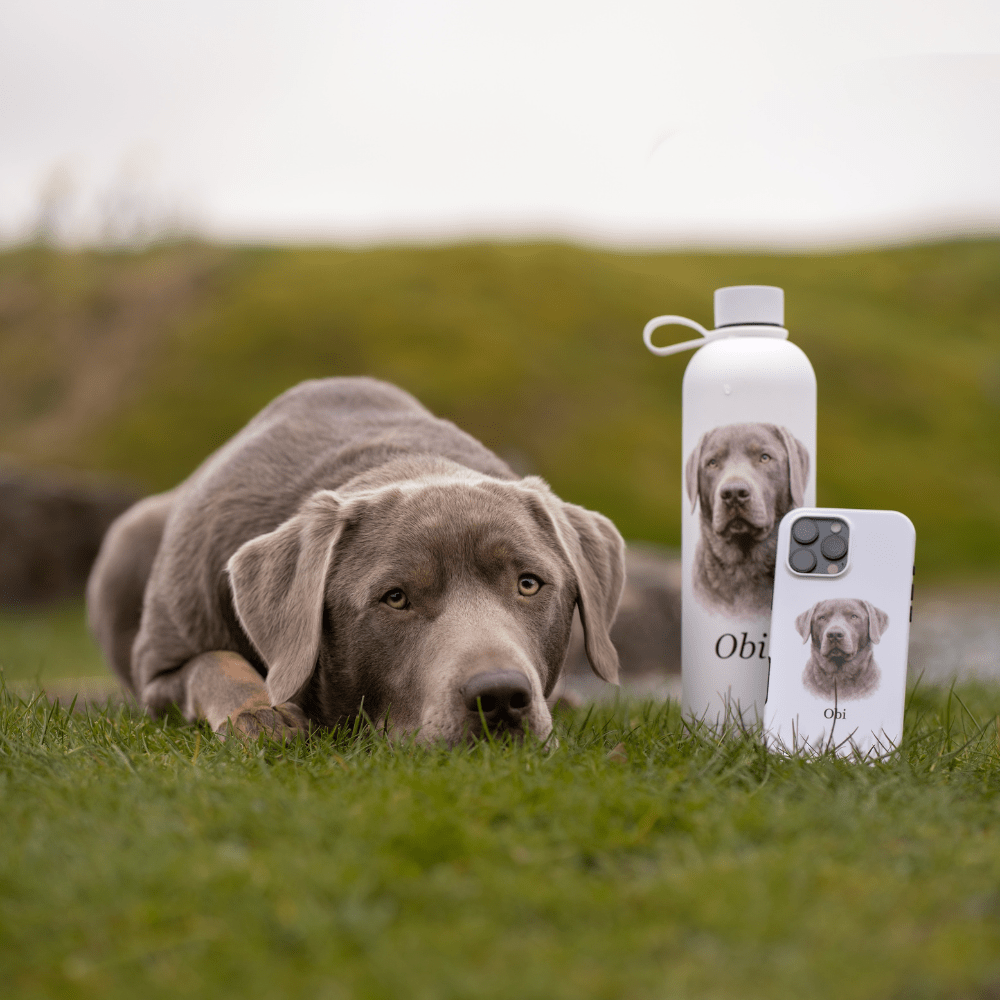 Labrador Phone Case and Water Bottle UK: Personalised Lab Accessories