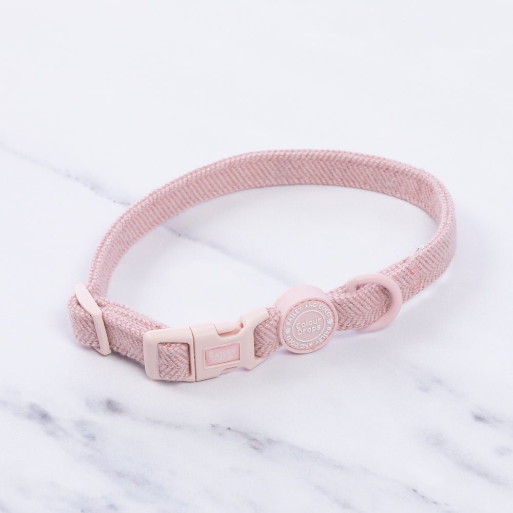 Puppy Collars UK: The Complete First Collar Guide for New Puppy Owners