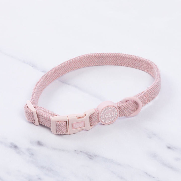 Puppy Collars UK: The Complete First Collar Guide for New Puppy Owners - Bailey and Coco (UK)
