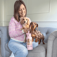 Sausage Dog Gifts UK 2026: The Best Dachshund Presents