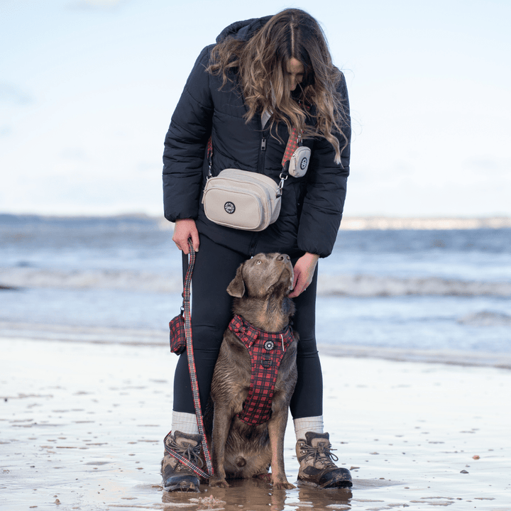 Waterproof Dog Walking Bags for British Weather: Stay Dry, Hands-Free & Organised - Bailey and Coco (UK)