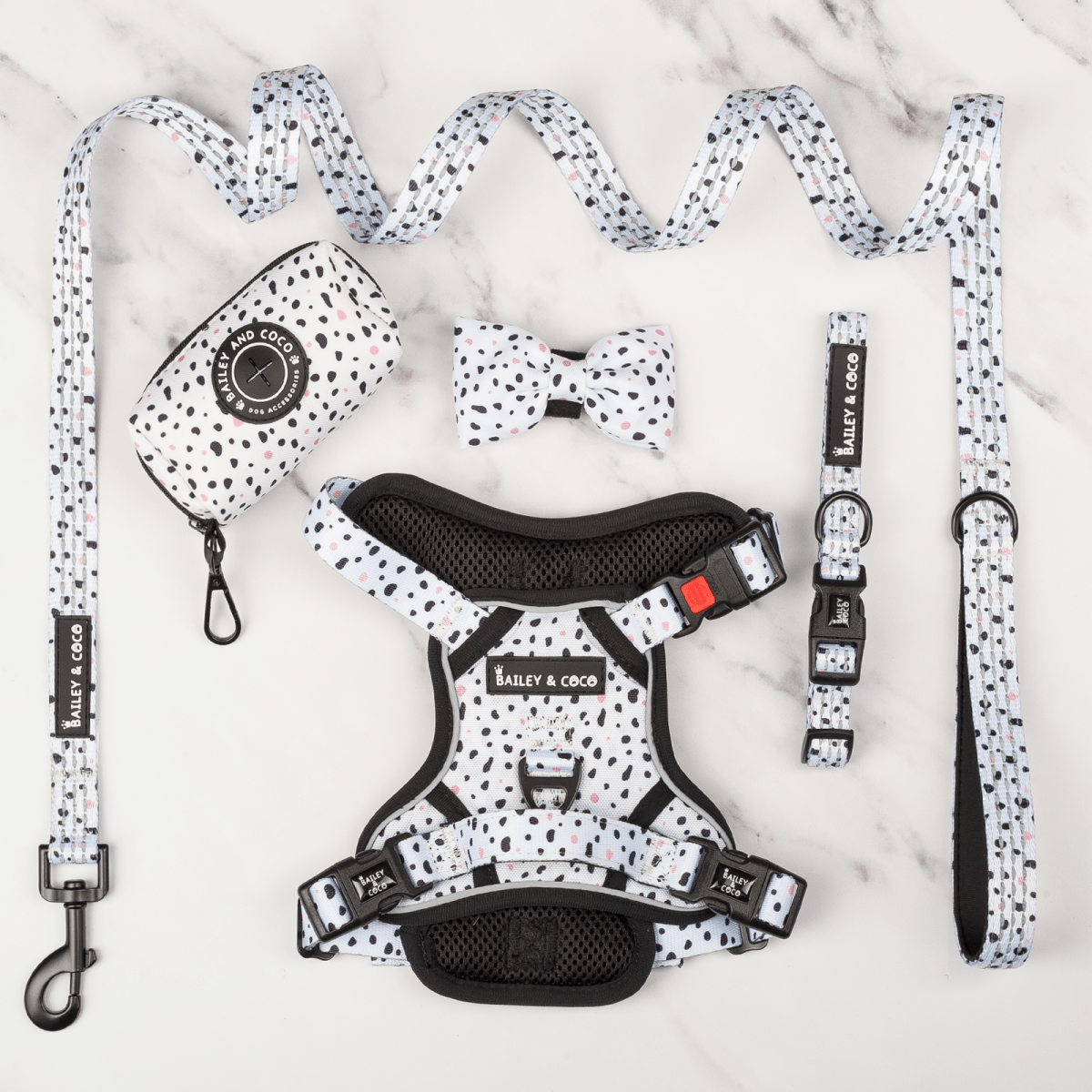 Ditsy Dalmatian