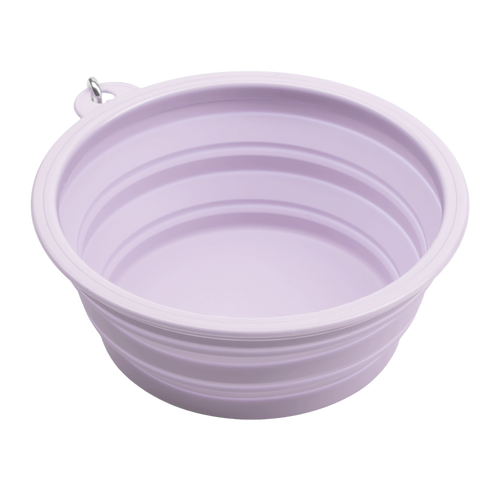 Dog Bowl