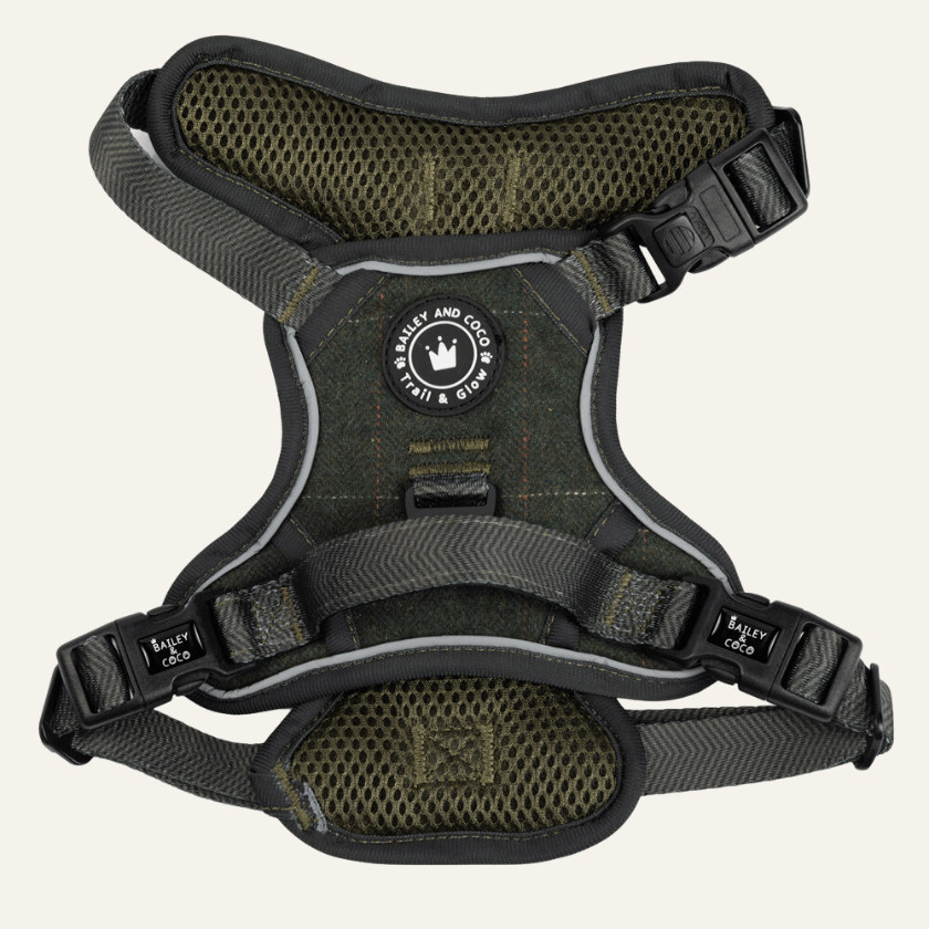 Dog Harnesses