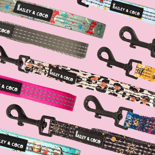 Dog Leads