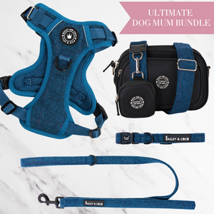 Sapphire Tweed Adjustable Dog Harness, Lead, Collar & Dog Walking Bag Bundle