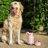 2-in-1 Dog Walking Water Bottle with Straw & Treat Bowl - 1L - Cocoa Latte - Bailey and Coco (UK)