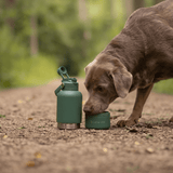 2-in-1 Dog Walking Water Bottle with Straw & Treat Bowl - 1L - Forest Walk - Bailey and Coco (UK)