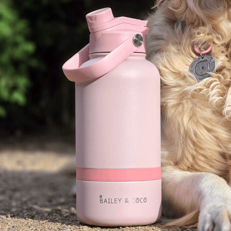 2-in-1 Dog Walking Water Bottle with Straw & Treat Bowl - 1L - Jet Black - Bailey and Coco (UK)