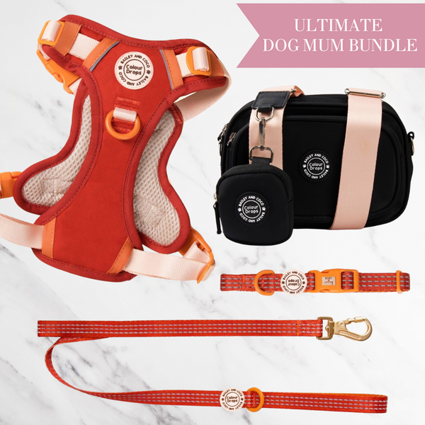 Spice it Up Adjustable Dog Harness, Lead, Collar & Dog Walking Bag Bundle