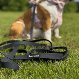 5M Long Line Waterproof Dog Lead - Black - Bailey and Coco (UK)