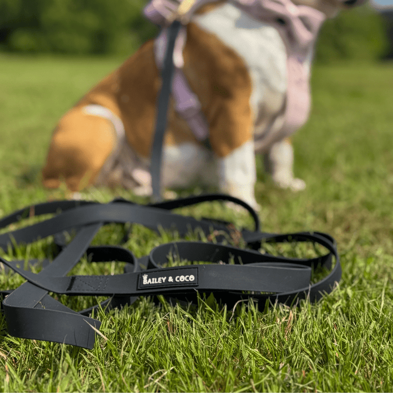 5M Long Line Waterproof Dog Lead - Black - Bailey and Coco (UK)