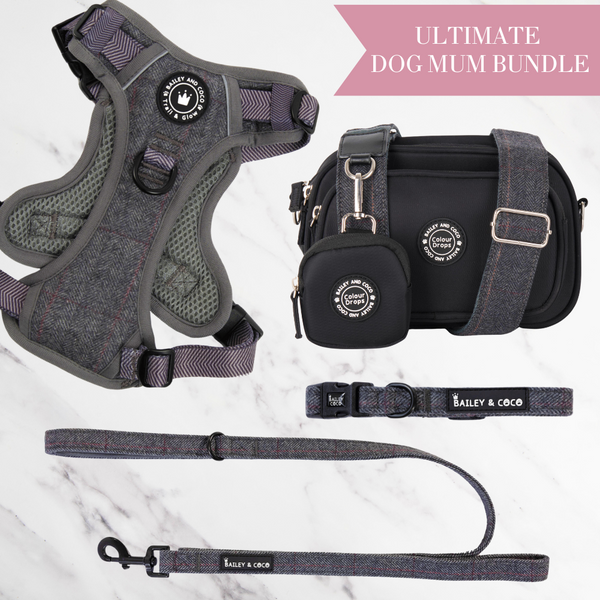 Slate Tweed Adjustable Dog Harness, Lead, Collar & Dog Walking Bag Bundle