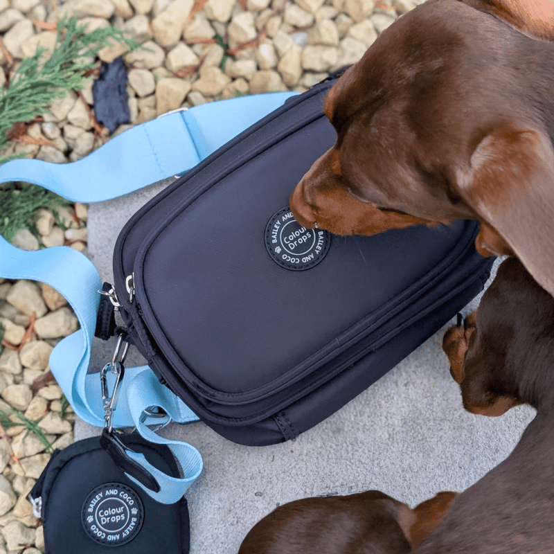dog walking bag purses