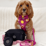 dog walking bag women