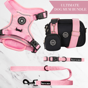 Bubblegum Tweed Adjustable Dog Harness, Lead, Collar & Dog Walking Bag Bundle