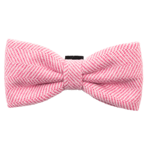 Bow Tie - Bubblegum Pink Tweed.