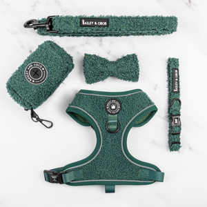 Glow Harness® Bundle Set - Emerald Teddy.