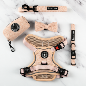 Trail & Glow® Dog Harness Bundle Set - Almond Tweed.