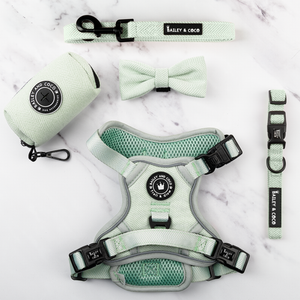 Trail & Glow® Dog Harness Bundle Set - Sage Tweed.