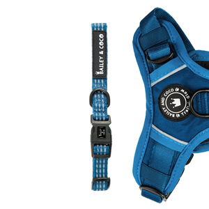 Trail & Glow® Collar - The Ink Blue One.
