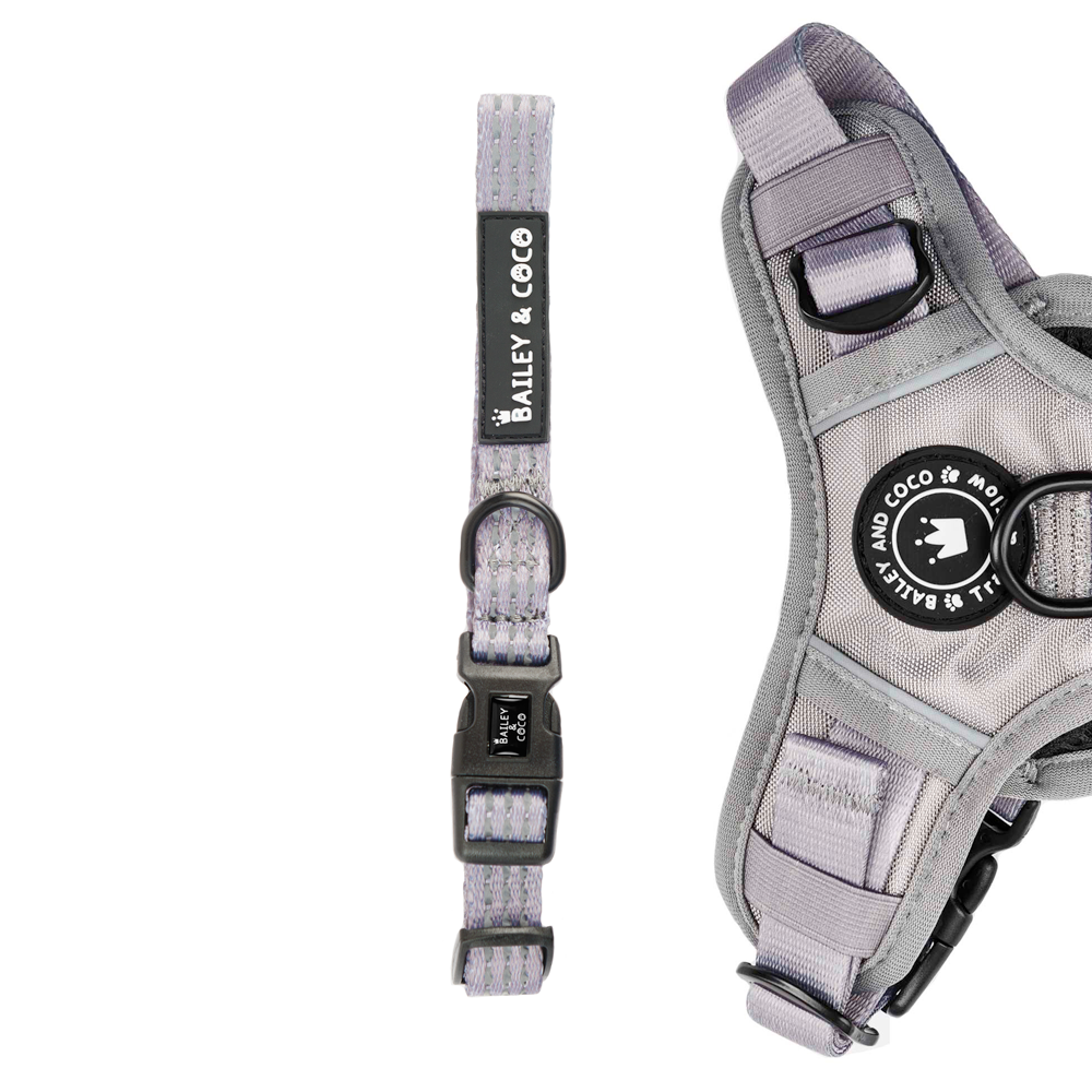 Trail & Glow® Collar - The Silver Grey One.