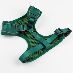 Adjustable Glow Harness® - Emerald Teddy.