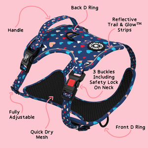 Trail & Glow® Dog Harness - All You Need Is Love.