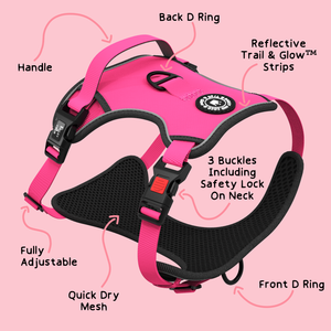 pink harness dog