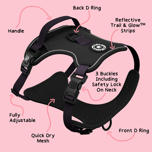 Trail & Glow® Dog Harness - The Jet Black One.