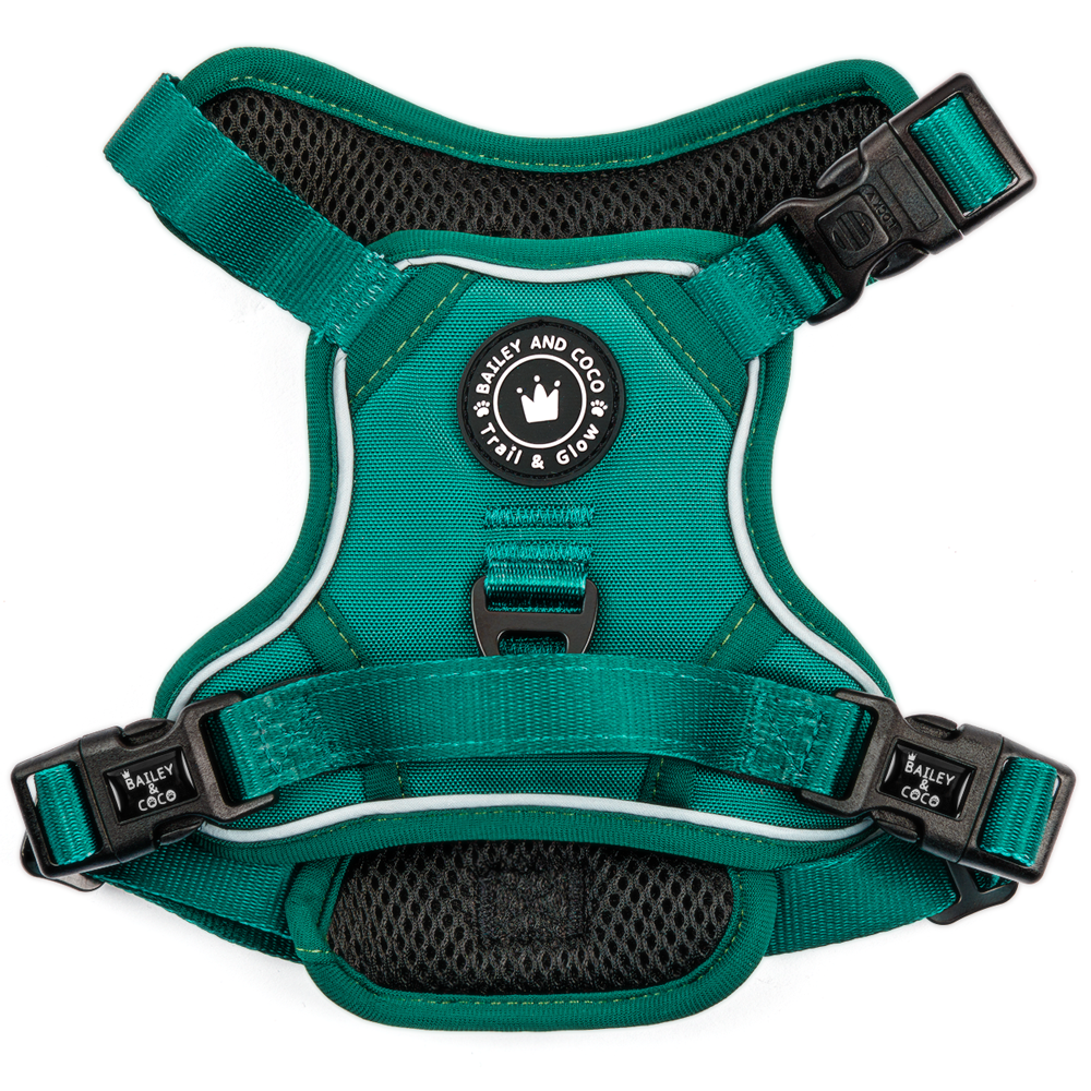 Trail & Glow® Emerald Green Dog Harness