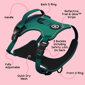 Trail & Glow® Emerald Green Dog Harness.