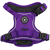 Trail & Glow® Dog Harness - The Royal Purple One