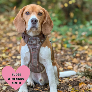 Trail & Glow - Dog Harness Bundle Set - Colour Drops - Heritage Plaid