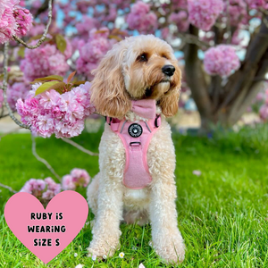 Trail & Glow® Dog Harness Bundle Set - Bubblegum Pink Tweed