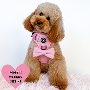 Trail & Glow® Dog Harness Bundle Set - Bubblegum Pink Tweed