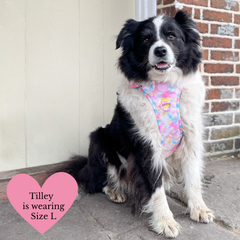 Trail & Glow Dog Harness & Lead Set - Colour Drops - Candy Floss