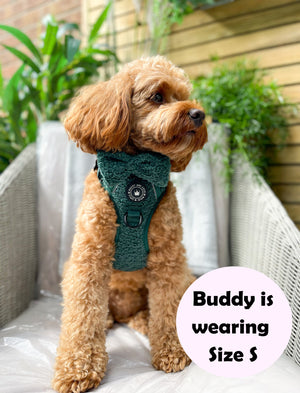 Trail & Glow® Dog Harness - Emerald Teddy.