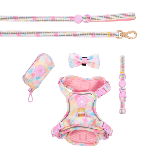 Trail & Glow Dog Harness Bundle Set - Colour Drops - Candy Floss