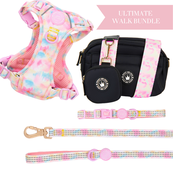 Candy Floss Adjustable Dog Harness, Lead, Collar & Black Dog Walking Bag Bundle