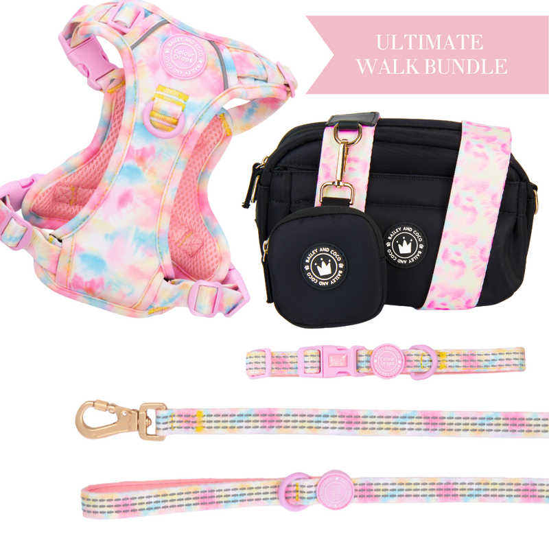 Candy Floss Adjustable Dog Harness, Lead, Collar & Black Dog Walking Bag Bundle