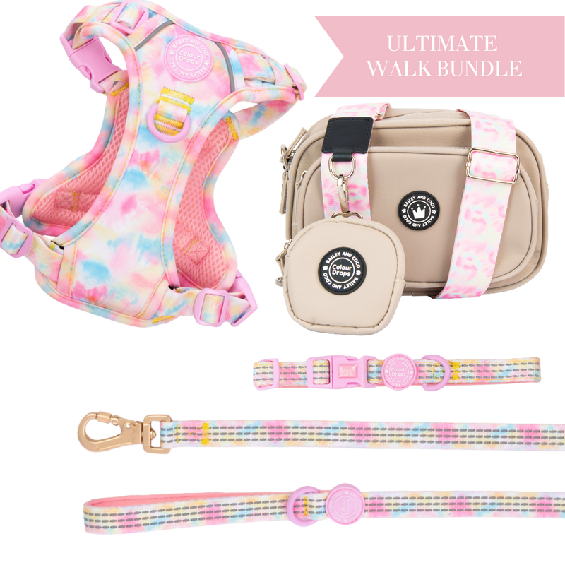 Candy Floss Adjustable Dog Harness, Lead, Collar & Latte Dog Walking Bag Bundle