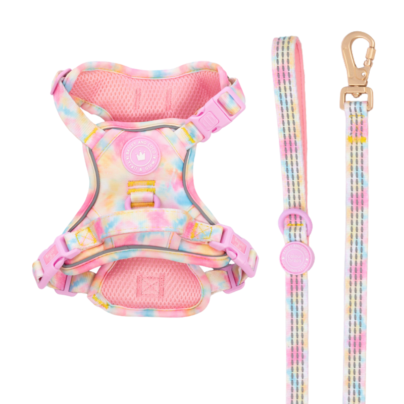 Trail & Glow Dog Harness & Lead Set - Colour Drops - Candy Floss