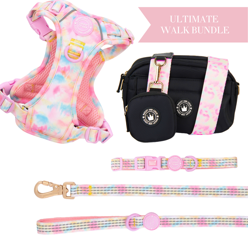 Candy Floss - Colour Drops - Adjustable Dog Harness, Lead, Collar & Mini Black Dog Walking Bag Bundle