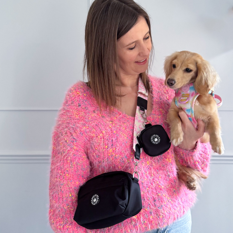 Tie Dye Dog Harness - Colour Drops - Candy Floss