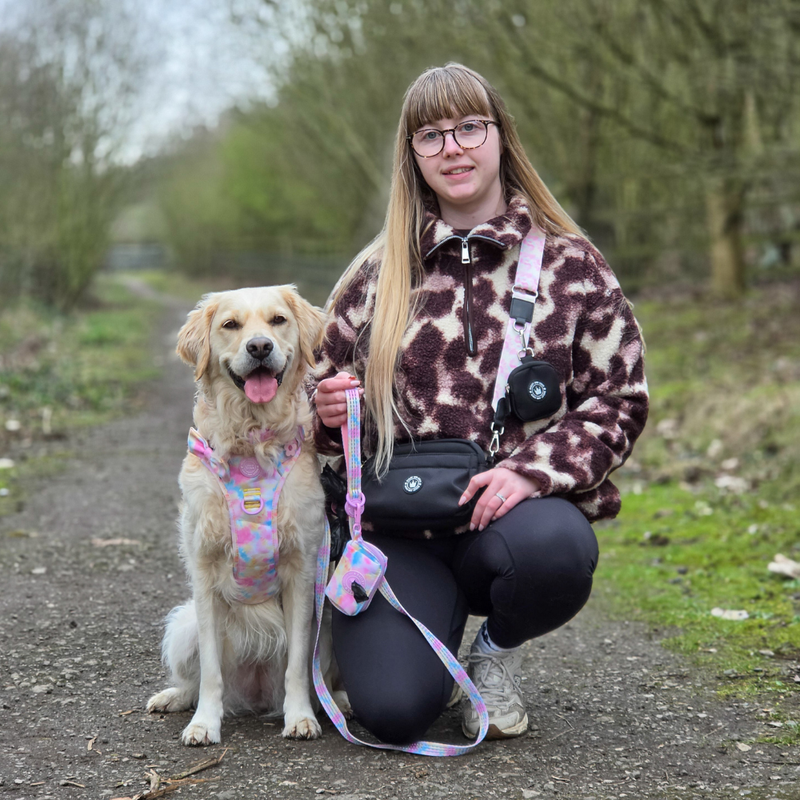Candy Floss Adjustable Dog Harness, Lead, Collar & Black Dog Walking Bag Bundle