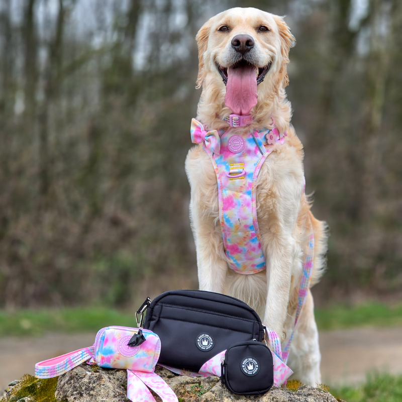 Mini Magnetic Snap Dog Walking Bag with Candy Floss Strap
