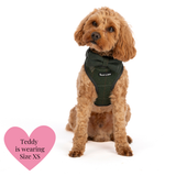 Adjustable Dog Harness Bundle Set - Forest Tweed