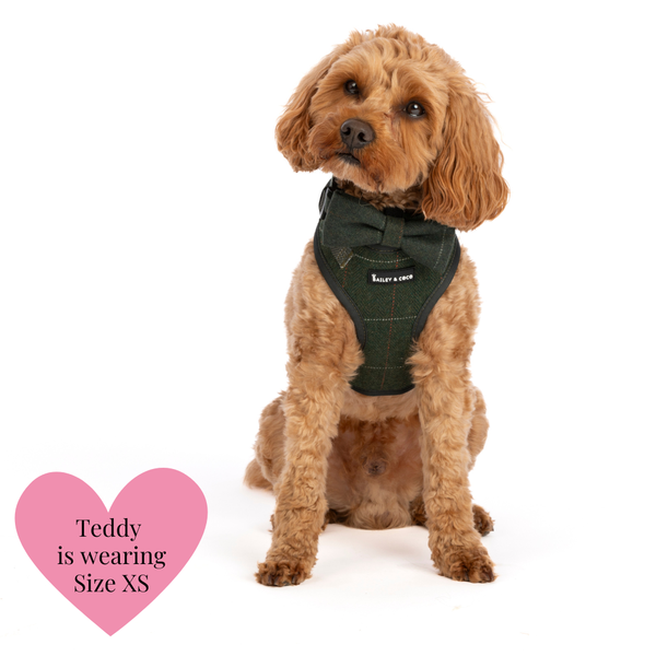 Forest Tweed Dog Harness - Adjustable Neck Dog Harness - alternate view