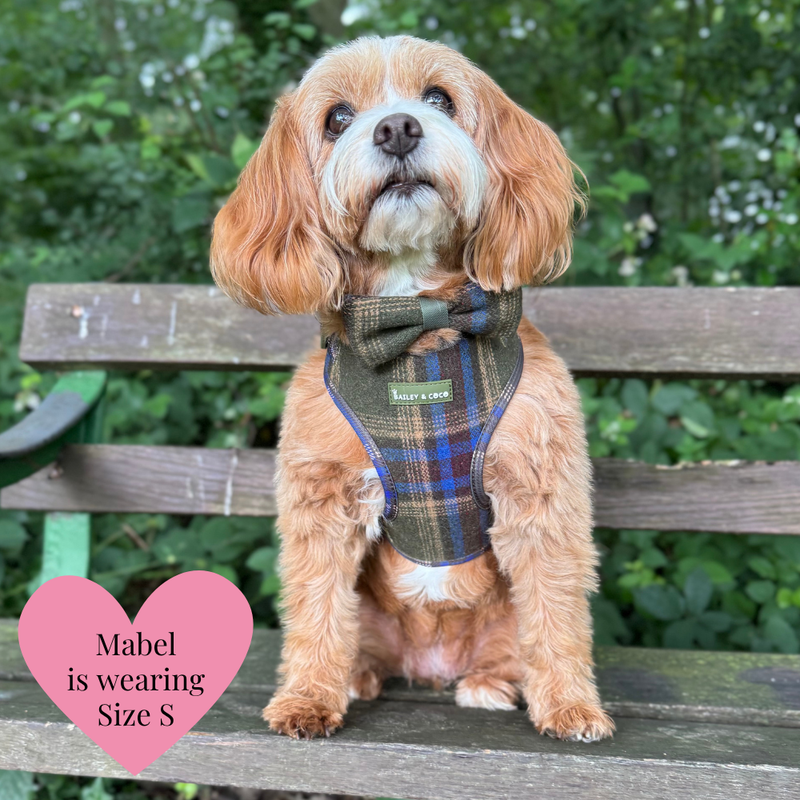 Mayfair Tweed Dog Harness - Adjustable Neck Dog Harness
